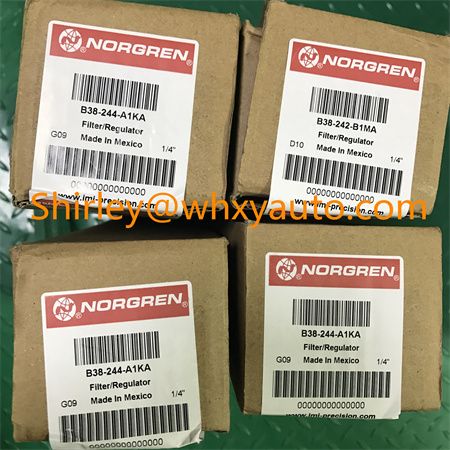 Norgren B38-242-B1MA (2)